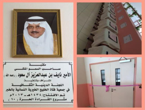 القراءة الحرة: دعم مكتبات المدارس الابتدائية