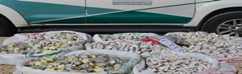 القطع الكهربائية المقلدة: ضبط 7 آلاف قطعة