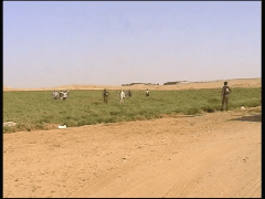 تنزيل