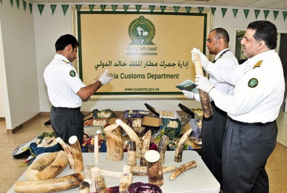إحباط تهريب أنياب الفيلة بمطار الملك خالد