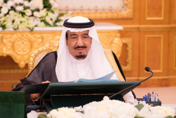 مجلس الوزراء يوافق على ترخيص 17 ناديًا