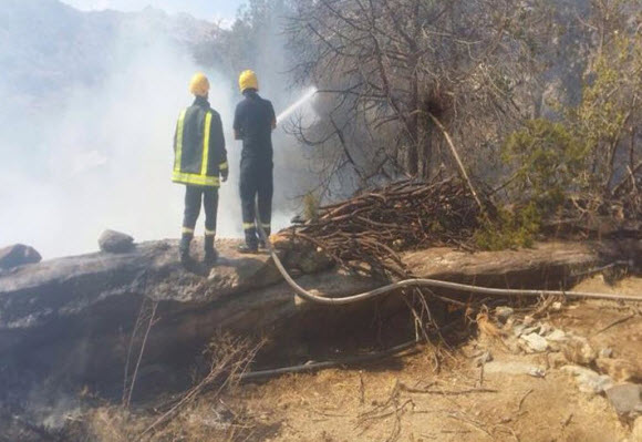 حريق في أشجار بتنومة: التفاصيل والأسباب