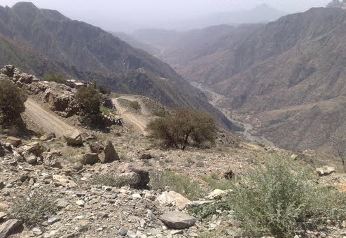 إنقاذ مواطن من منحدر بالمندق - تفاصيل الحادث