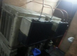 19-02-36 09-00-55 م
