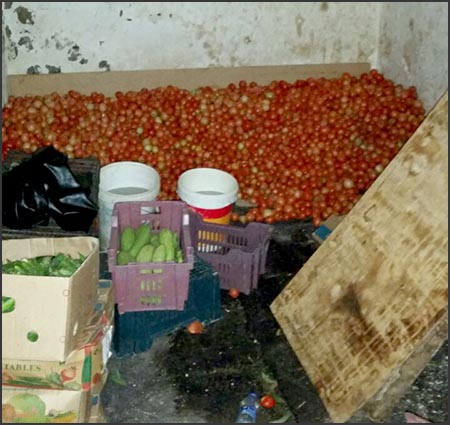 أمانة الرياض تداهم منازل.. تفاصيل!