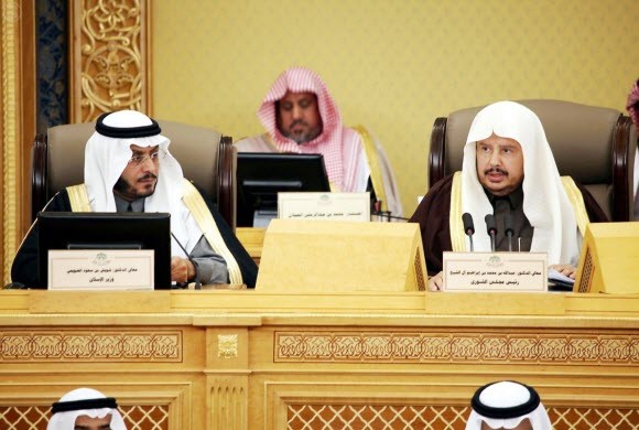 الضويحي: رسوم على الأراضي البيضاء قادمة