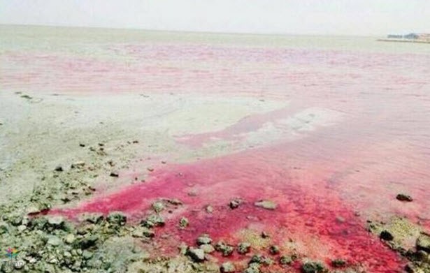 الأرصاد تنفي وجود 'البقعة الزهرية'