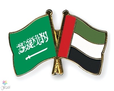 الإمارات تستدعي سفيرها.. احتجاج على الإساءة