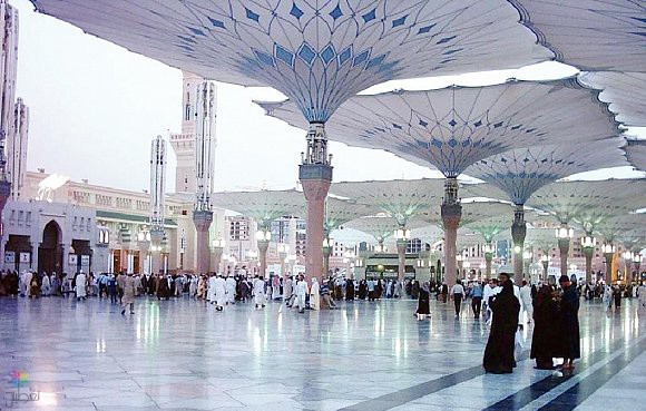 اعتداء الطلاب على مدير مدرسة بالمدينة