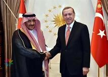 الرئيس التركي يستقبل الأمير محمد بن نايف