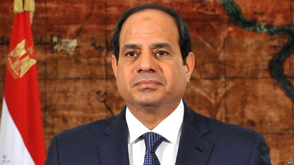 الرئيس السيسي: حماية المنطقة العربية