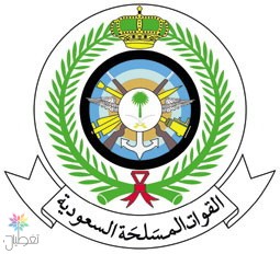 سقوط طائرة تدريب: تفاصيل الحادث