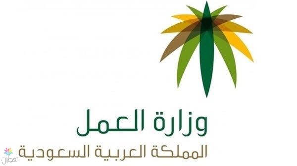 العمل عن بعد: فرص وظيفية جديدة