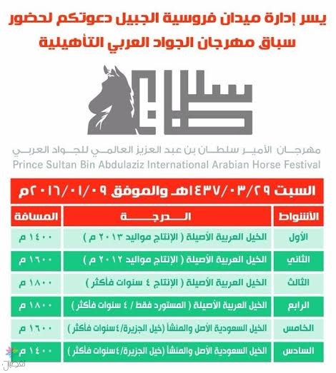ميدان الجبيل يقيم سباق مهرجان الجواد العربي