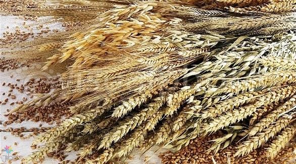 5 فوائد غير معروفة لأكل الحبوب الكاملة