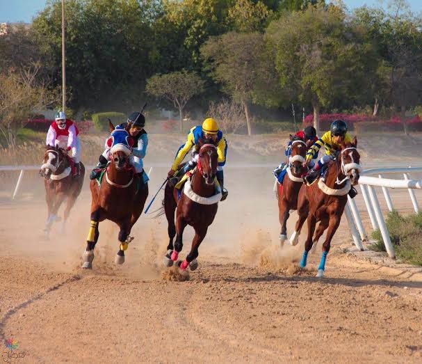 سباق الخيل الجبيل: فوز تالده بكأس ميدان