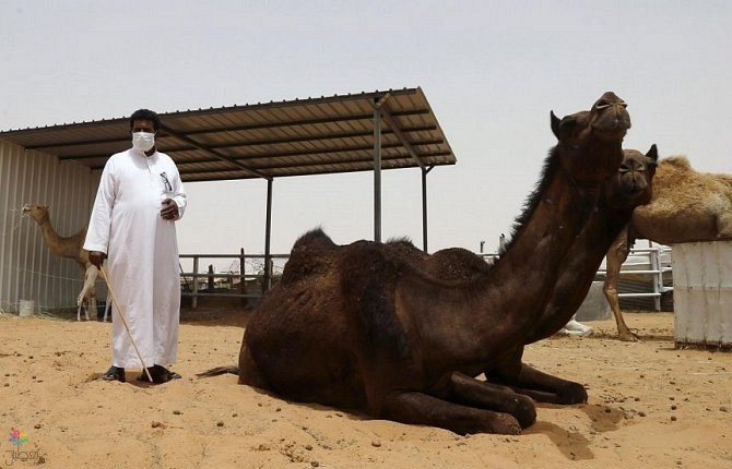 وفاة كورونا الخرج: آخر المستجدات