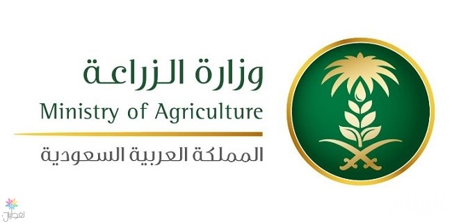 مكافحة البعوض: جهود وزارة الزراعة