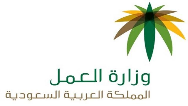 تصاريح عمل مؤقتة للسوريين: 847 تصريح