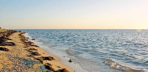 أمانة جدة تنفي مراقبة خليج سلمان