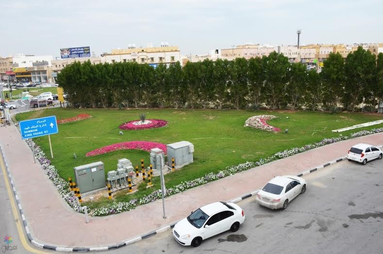 الدمام تزرع 600 ألف زهرة شتوية