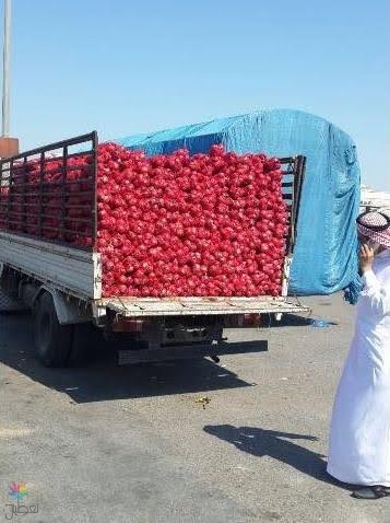 ضبط بصل غير صالح بالدمام - تفاصيل