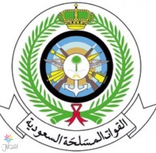 معرض القوات المسلحة: أكبر تظاهرة صناعية