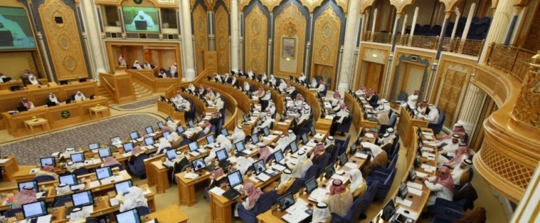 مجلس الشورى يناقش قضايا هامة