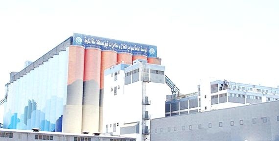 صندوق الاستثمارات العامة والحبوب: تفاصيل
