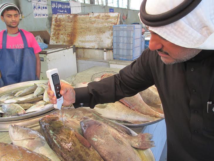 القطيف: مصادرة 227 كجم أسماك فاسدة