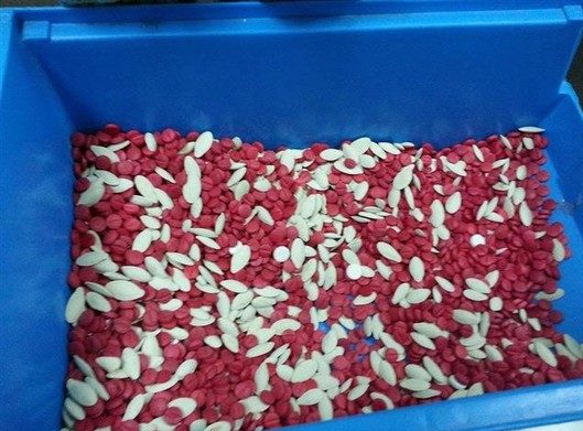 تهريب الترامادول: إحباط محاولة تهريب 8 آلاف حبة