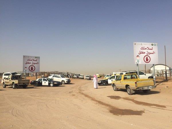 إزالة سوق الإبل الجنادرية بالرياض