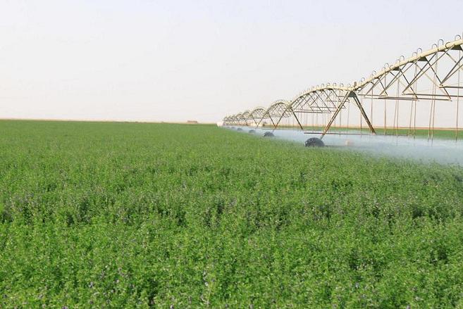 السعودية: استثمار زراعي في إفريقيا
