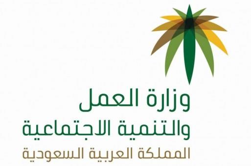 العمل والتنمية: تصاريح عمل لليمنيين