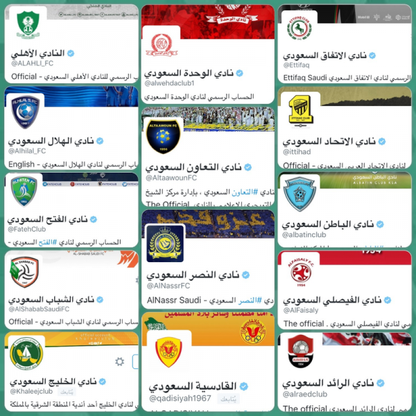 رابطة دوري المحترفين توثق حسابات الأندية