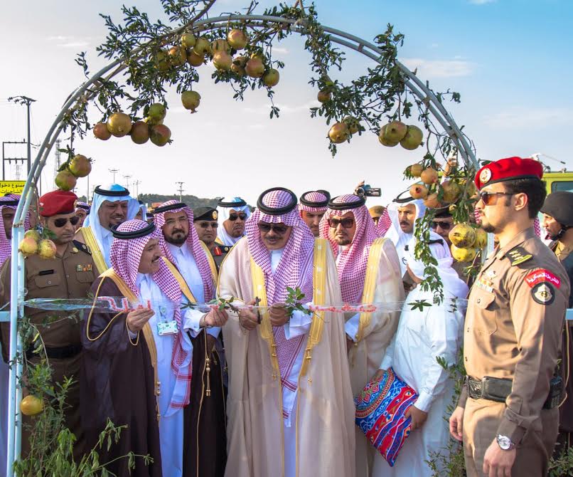 مهرجان الرمان في الباحة: النسخة الخامسة