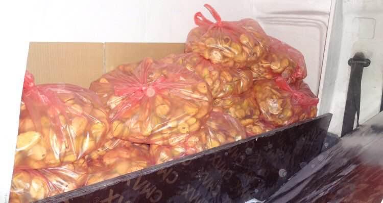 تهريب ثمار القورو: جمرك الخفجي يحبط محاولة