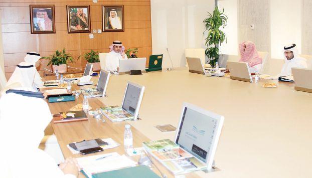 الرياضة النسائية في الجامعات: دعم وتنسيق