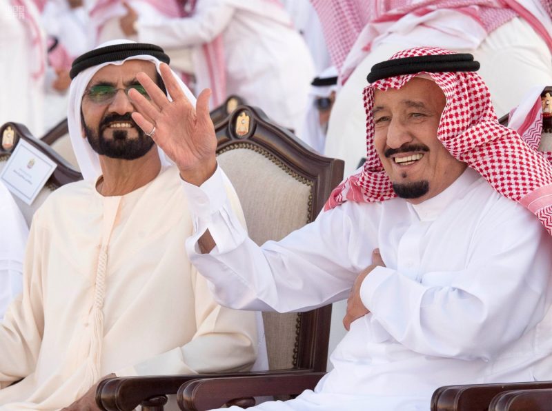 تفاعل خادم الحرمين مع مهرجان زايد التراثي (فيديو)