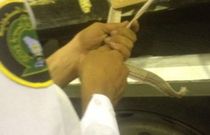 تهريب كبتاجون ضباء: إحباط تهريب 872 ألف حبة
