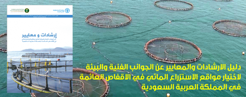 الأقفاص العائمة: استدامة المشاريع