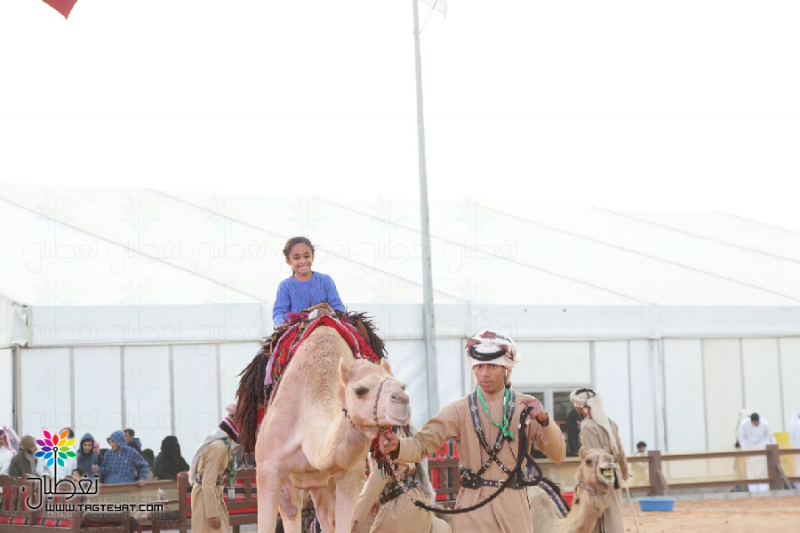 مهرجان الجنادرية 1438: جدول المواعيد
