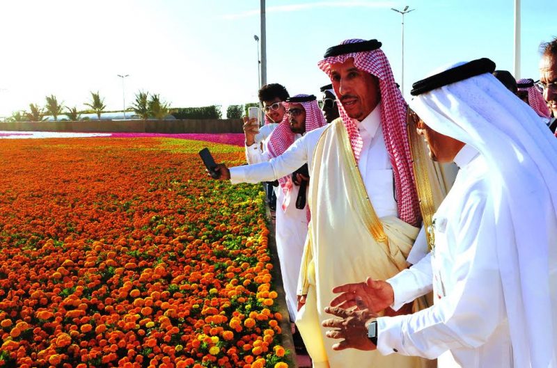مهرجان الزهور بينبع الصناعية | 2024