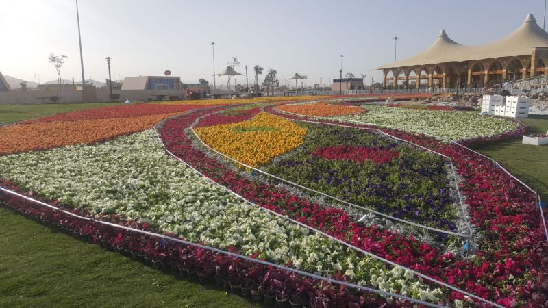 مهرجان ورد الطائف: فعاليات حتى 18 رجب