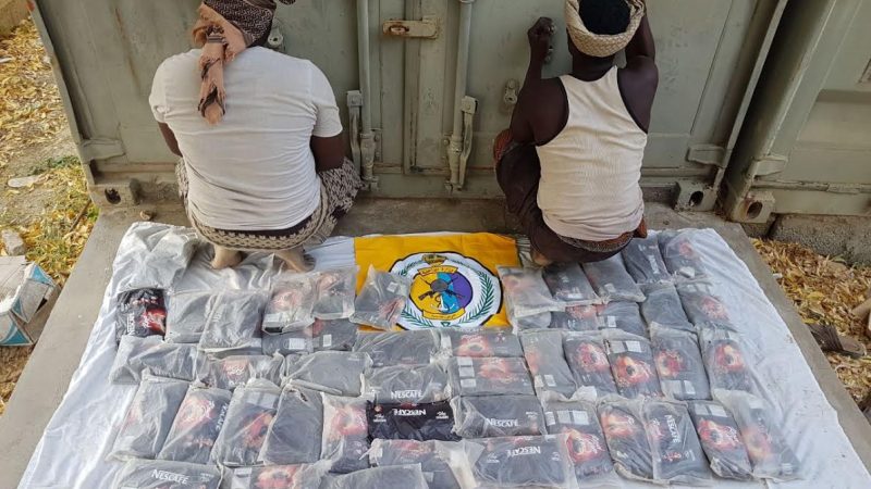 تهريب الحشيش بجازان: إحباط محاولة والقبض على مروجين