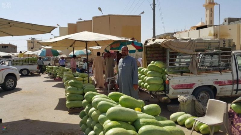 وادي الدواسر والحبحب: إنتاج وفير