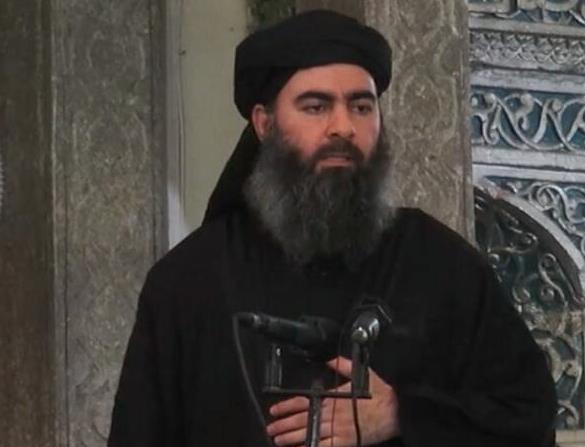 مشرع روسي: احتمال مقتل البغدادي يكاد يكون 100%