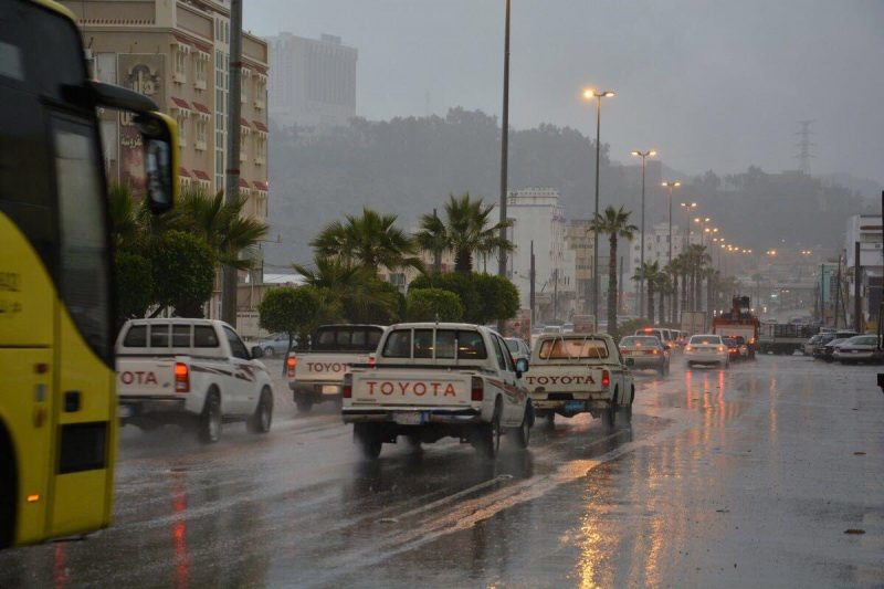 الأمطار والغيوم تعانق طبيعة بلجرشي