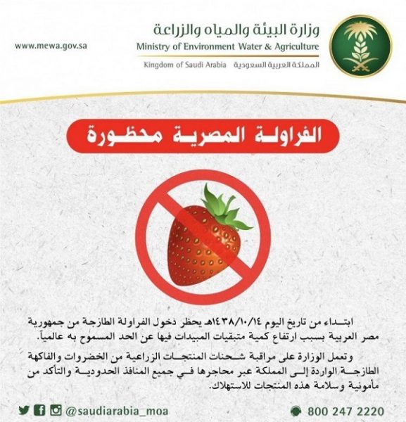 البيئة: تحظر استيراد الفراولة المصرية مؤقتاً