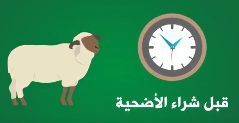 تعرّف على الأضحية السليمة قبل شرائها "فيديو"